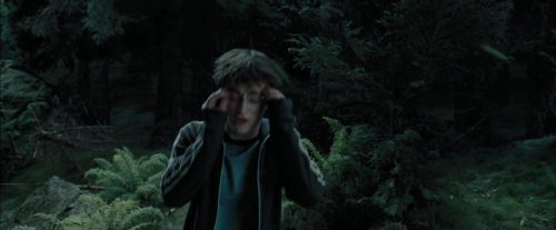 Click to view full size image
==============
PdA-Potterish_5694.jpg PdA-Potterish_5694.jpg