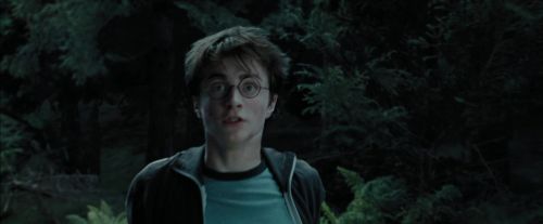 Click to view full size image
==============
PdA-Potterish_5695.jpg PdA-Potterish_5695.jpg