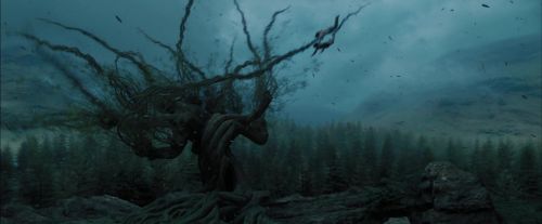 Click to view full size image
==============
PdA-Potterish_5704.jpg PdA-Potterish_5704.jpg