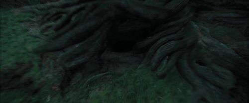 PdA-Potterish_5706.jpg