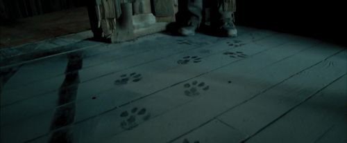 Click to view full size image
==============
PdA-Potterish_5774.jpg PdA-Potterish_5774.jpg