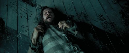 Click to view full size image
==============
PdA-Potterish_5817.jpg PdA-Potterish_5817.jpg