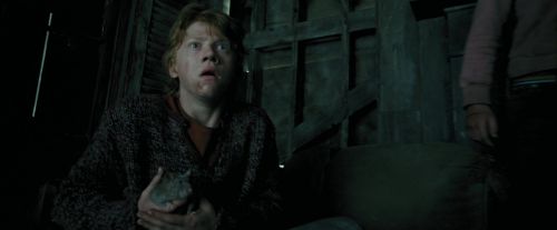 Click to view full size image
==============
PdA-Potterish_5916.jpg PdA-Potterish_5916.jpg