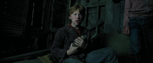 PdA-Potterish_6020.jpg