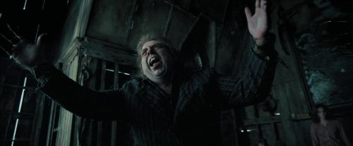 PdA-Potterish_6080.jpg