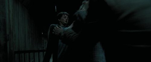 PdA-Potterish_6126.jpg