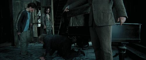 Click to view full size image
==============
PdA-Potterish_6148.jpg PdA-Potterish_6148.jpg