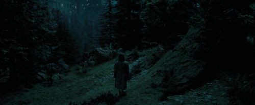 PdA-Potterish_6205.jpg