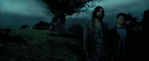 Click to view full size image
==============
PdA-Potterish_6246.jpg PdA-Potterish_6246.jpg