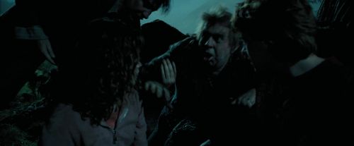 Click to view full size image
==============
PdA-Potterish_6276.jpg PdA-Potterish_6276.jpg
