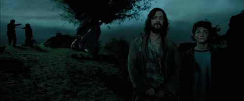 PdA-Potterish_6285.jpg