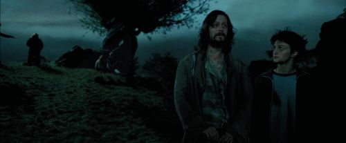 PdA-Potterish_6290.jpg