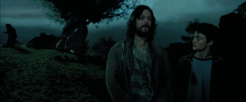 Click to view full size image
==============
PdA-Potterish_6304.jpg PdA-Potterish_6304.jpg