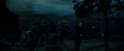 PdA-Potterish_6315.jpg