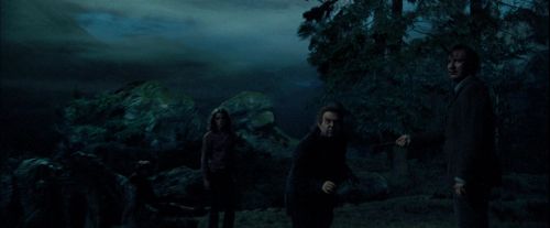 PdA-Potterish_6316.jpg