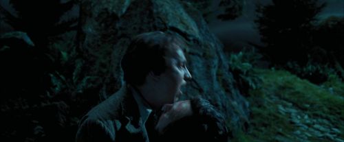 Click to view full size image
==============
PdA-Potterish_6334.jpg PdA-Potterish_6334.jpg