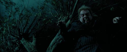Click to view full size image
==============
PdA-Potterish_6337.jpg PdA-Potterish_6337.jpg