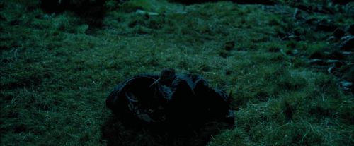 Click to view full size image
==============
PdA-Potterish_6350.jpg PdA-Potterish_6350.jpg