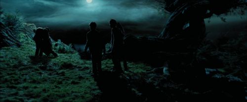PdA-Potterish_6354.jpg