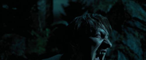 PdA-Potterish_6360.jpg