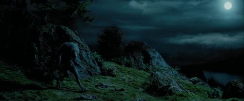 Click to view full size image
==============
PdA-Potterish_6376.jpg PdA-Potterish_6376.jpg