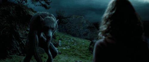 Click to view full size image
==============
PdA-Potterish_6387.jpg PdA-Potterish_6387.jpg