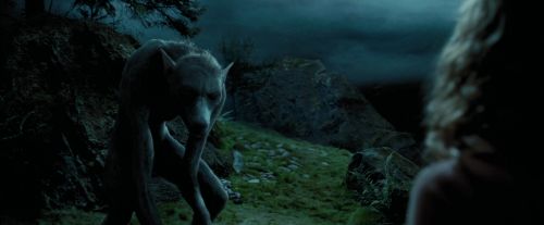 PdA-Potterish_6388.jpg