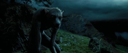 PdA-Potterish_6390.jpg