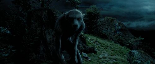 Click to view full size image
==============
PdA-Potterish_6395.jpg PdA-Potterish_6395.jpg