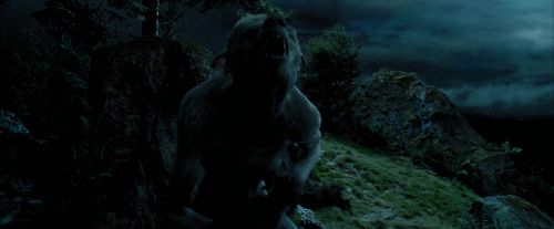 Click to view full size image
==============
PdA-Potterish_6396.jpg PdA-Potterish_6396.jpg