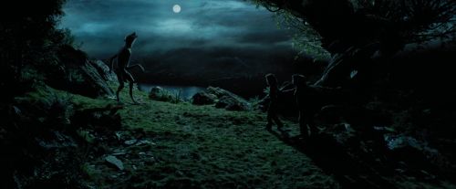 Click to view full size image
==============
PdA-Potterish_6399.jpg PdA-Potterish_6399.jpg
