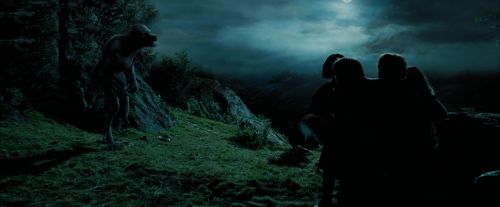 Click to view full size image
==============
PdA-Potterish_6406.jpg PdA-Potterish_6406.jpg