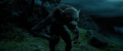 PdA-Potterish_6411.jpg
