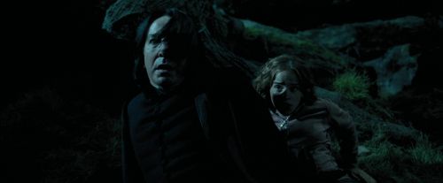 PdA-Potterish_6416.jpg
