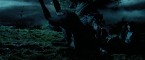 Click to view full size image
==============
PdA-Potterish_6419.jpg PdA-Potterish_6419.jpg