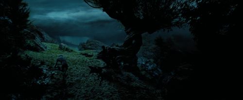 Click to view full size image
==============
PdA-Potterish_6422.jpg PdA-Potterish_6422.jpg