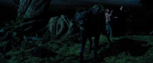 PdA-Potterish_6425.jpg