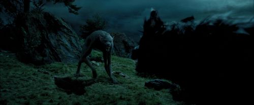 Click to view full size image
==============
PdA-Potterish_6428.jpg PdA-Potterish_6428.jpg