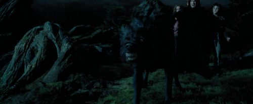 PdA-Potterish_6430.jpg