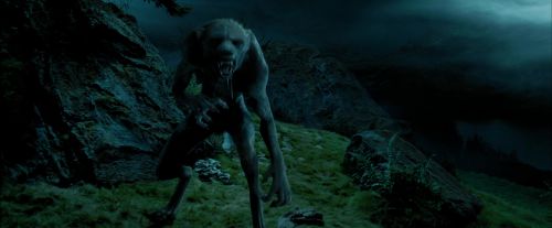 PdA-Potterish_6431.jpg