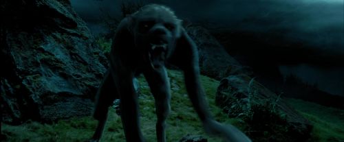 Click to view full size image
==============
PdA-Potterish_6432.jpg PdA-Potterish_6432.jpg