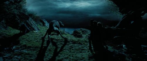 Click to view full size image
==============
PdA-Potterish_6439.jpg PdA-Potterish_6439.jpg