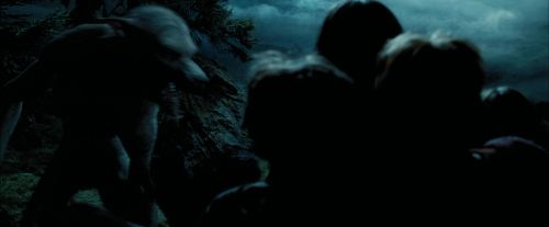 Click to view full size image
==============
PdA-Potterish_6441.jpg PdA-Potterish_6441.jpg