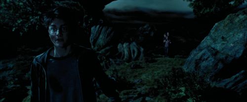 PdA-Potterish_6451.jpg