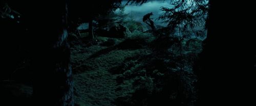 Click to view full size image
==============
PdA-Potterish_6452.jpg PdA-Potterish_6452.jpg