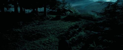 PdA-Potterish_6457.jpg