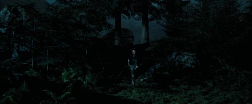 Click to view full size image
==============
PdA-Potterish_6458.jpg PdA-Potterish_6458.jpg