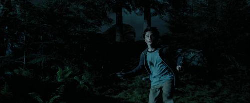 PdA-Potterish_6459.jpg