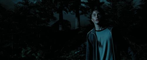 Click to view full size image
==============
PdA-Potterish_6464.jpg PdA-Potterish_6464.jpg