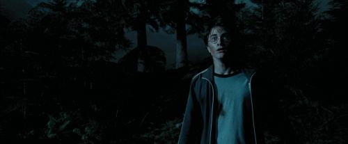 Click to view full size image
==============
PdA-Potterish_6465.jpg PdA-Potterish_6465.jpg